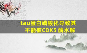 tau蛋白磷酸化导致其不能被CDK5 酶水解